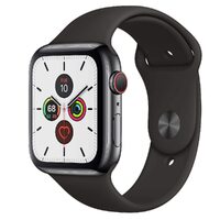 Apple Watch Series 5 (Cellular) 40mm Gray Stainless Steel Black Band - Excellent