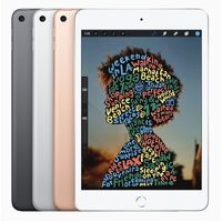 Apple iPad Mini 5 (Refurbished)